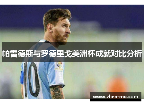 帕雷德斯与罗德里戈美洲杯成就对比分析