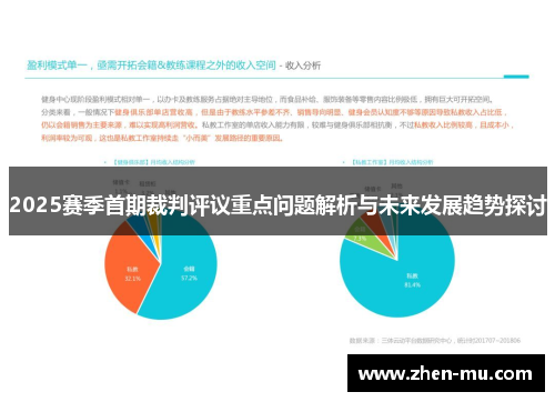 2025赛季首期裁判评议重点问题解析与未来发展趋势探讨