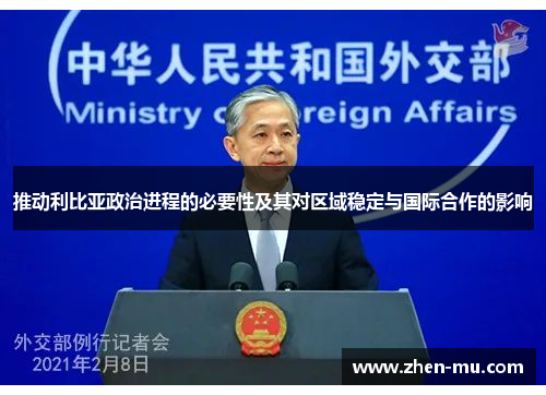 推动利比亚政治进程的必要性及其对区域稳定与国际合作的影响