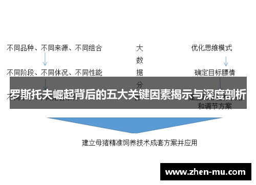 罗斯托夫崛起背后的五大关键因素揭示与深度剖析