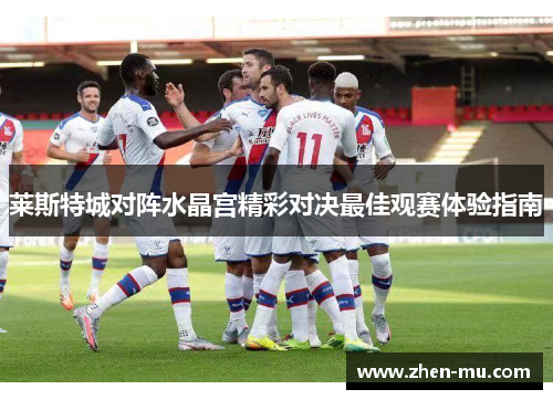 莱斯特城对阵水晶宫精彩对决最佳观赛体验指南